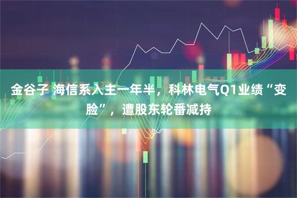 金谷子 海信系入主一年半，科林电气Q1业绩“变脸”，遭股东轮番减持