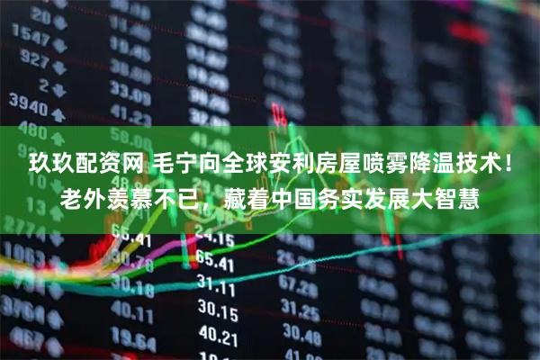 玖玖配资网 毛宁向全球安利房屋喷雾降温技术！老外羡慕不已，藏着中国务实发展大智慧